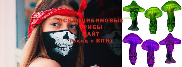 винт Богданович