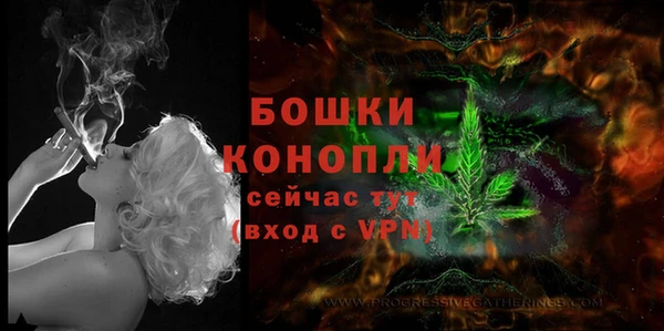 первитин Богородицк