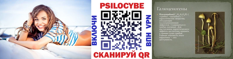 Псилоцибиновые грибы Cubensis Менделеевск