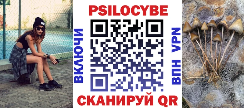 Псилоцибиновые грибы Psilocybe Менделеевск